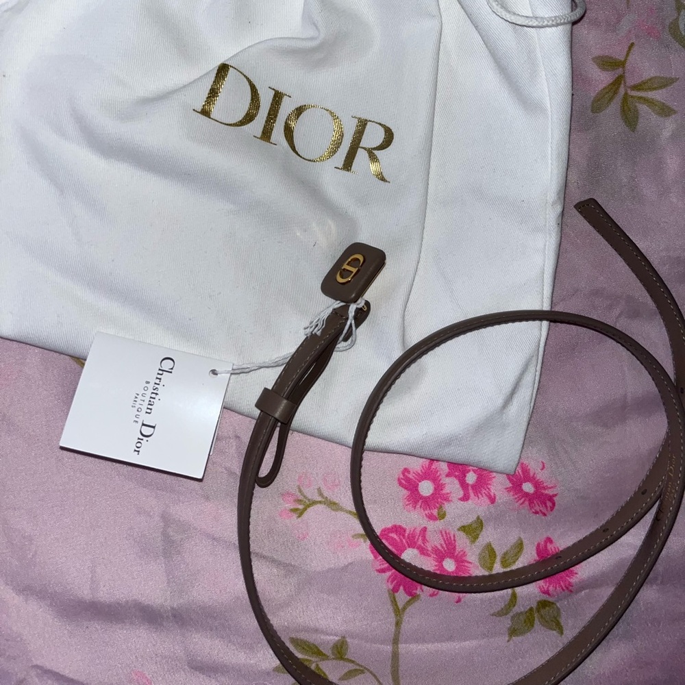 Dior Bobby Belt in Taupe 80cm

Original price: $750